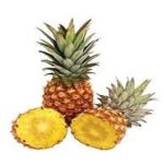 Ananas sativa (Pineapple)