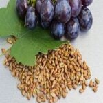 Grape Seed Dry extract