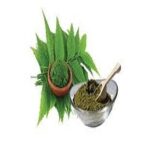 Green tea Dry extract