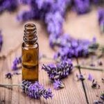 Lavender oil soluble