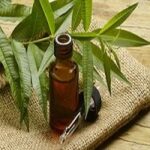 Tea Tree oil soluble