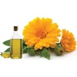 marigold Oil soluble